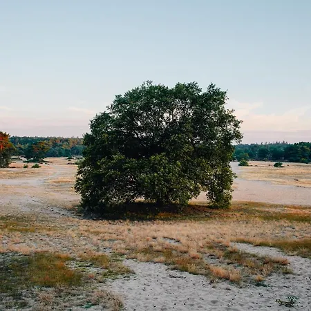 Hotel De Wever Otterlo