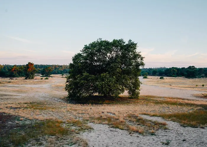 Hotell De Wever Otterlo